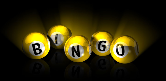 bingo spill